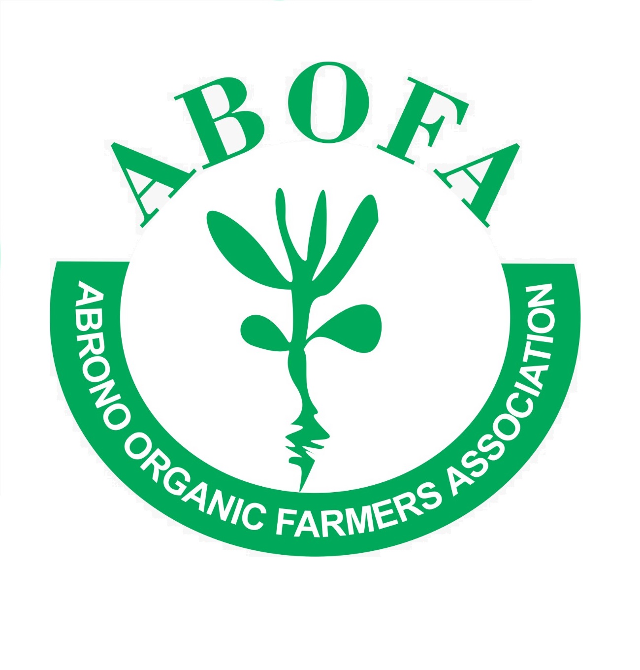 <h2>Abrono Organic Farmers Association</h2>