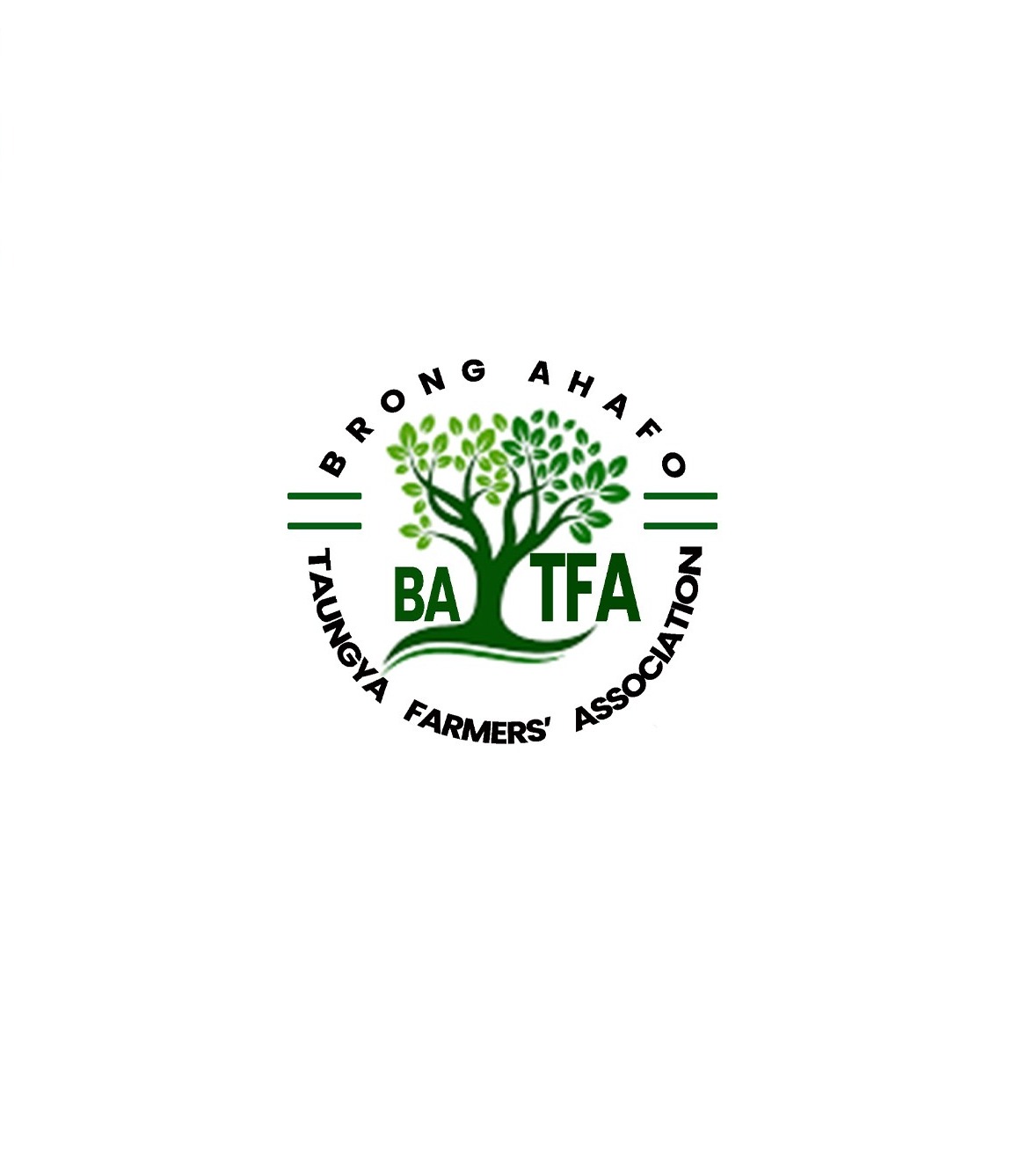 <h2>Brong Ahafo Taungya Farmers Association</h2>