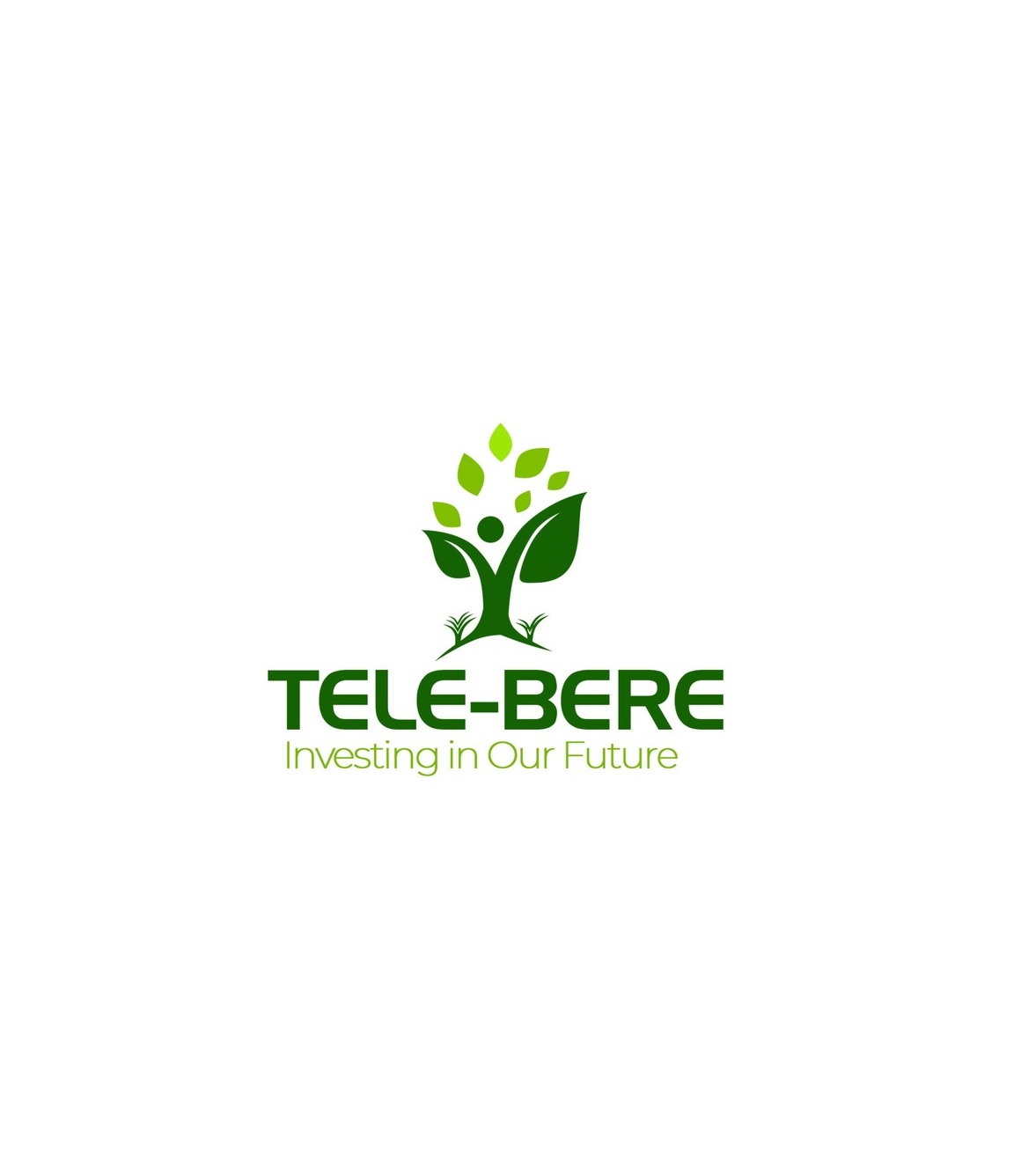<h2>Tele-Bere Vsl Association</h2>