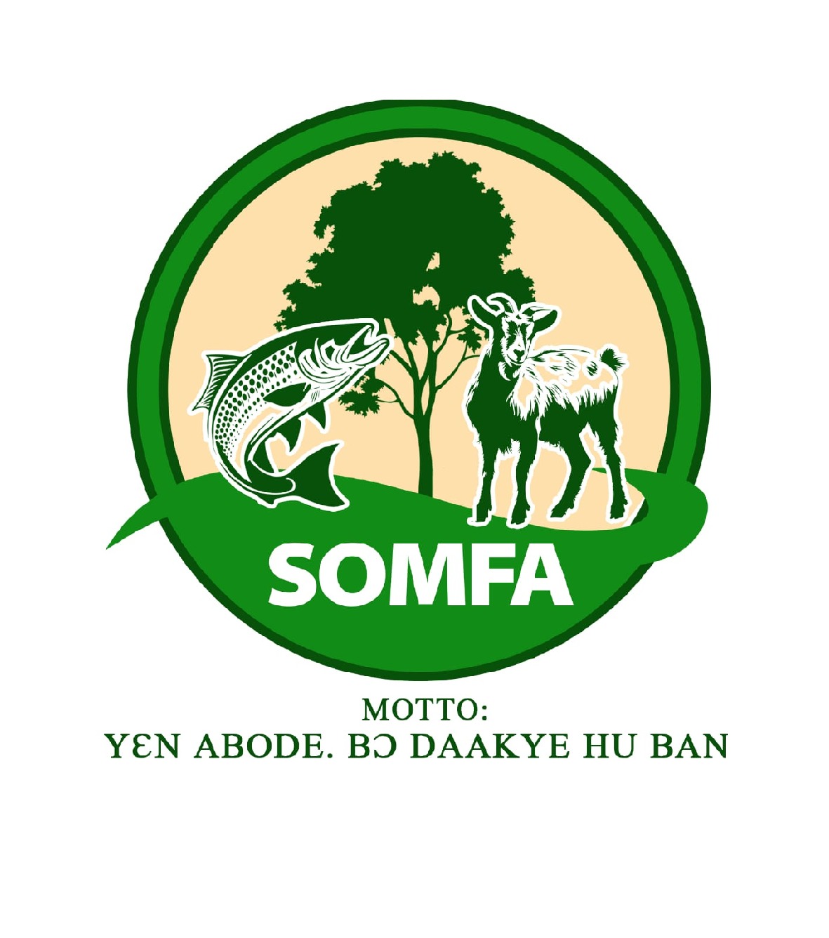 <h2>SOMFA </h2>